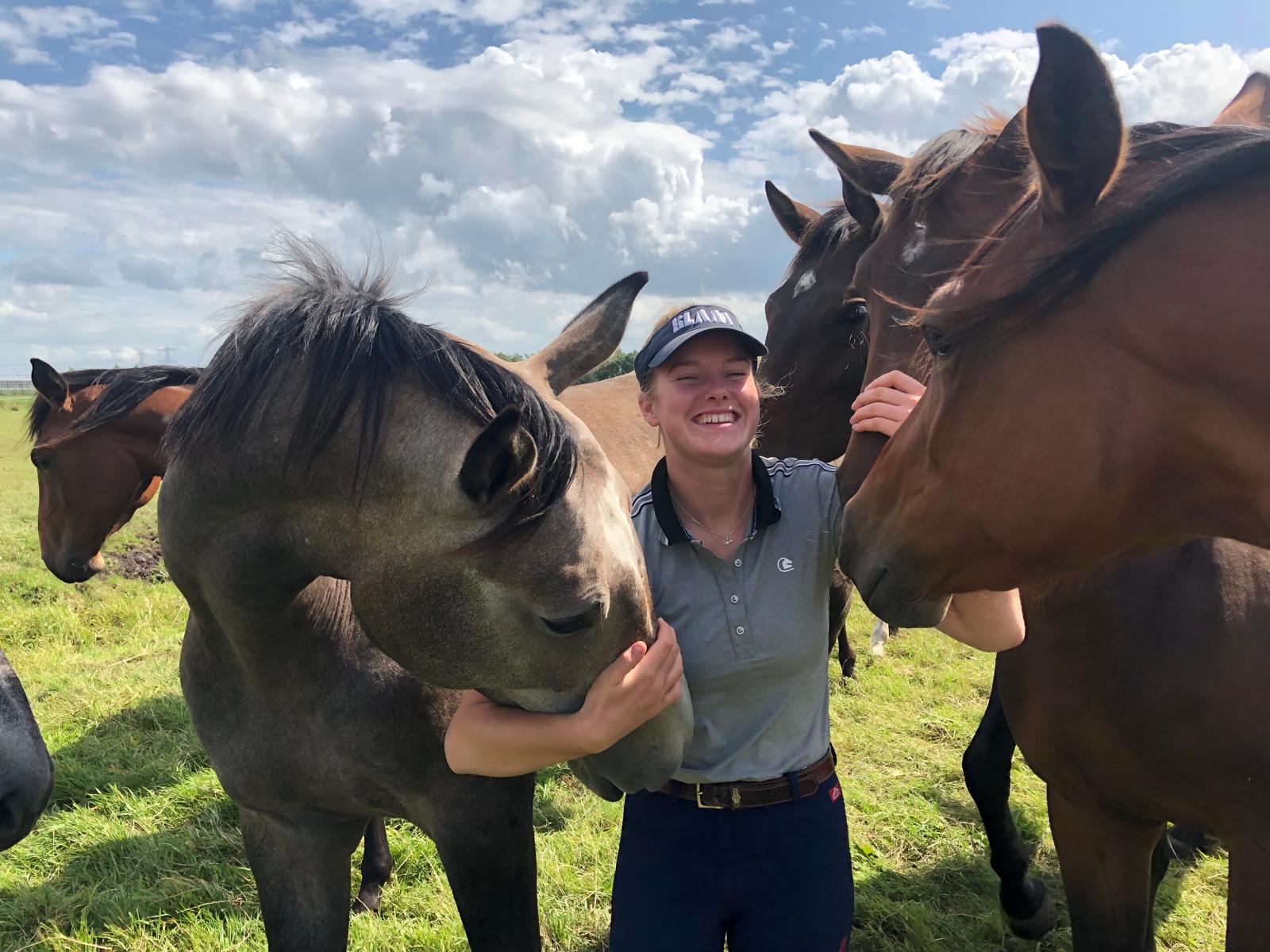 Tussen de paarden in de wei